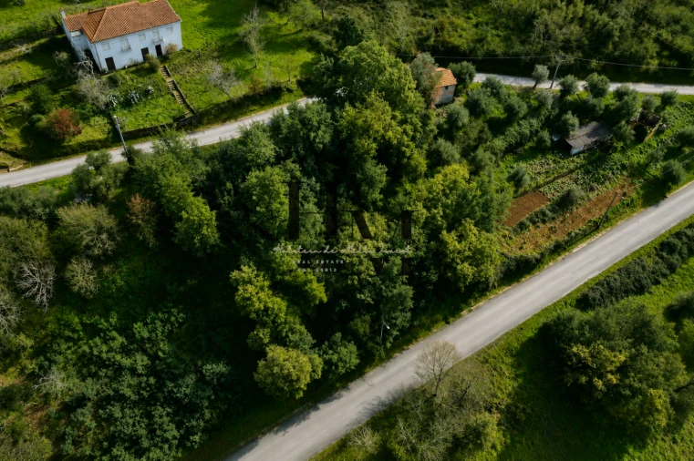 Terreno para Venda em Arganil Foto 7