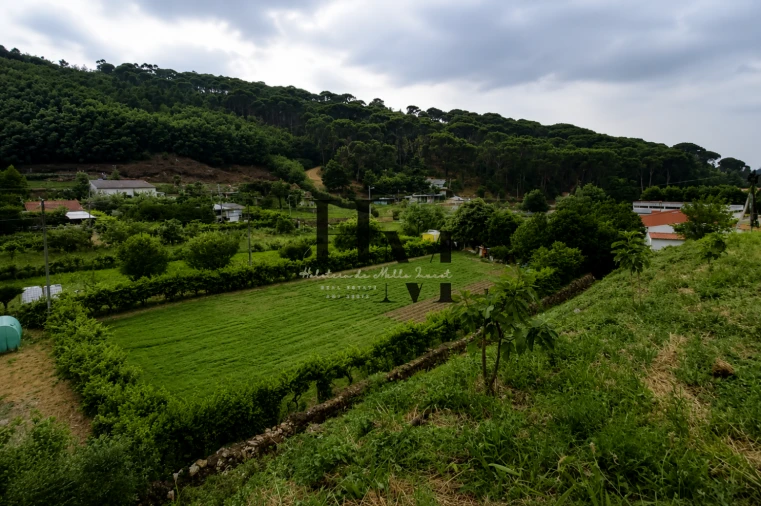 Terreno para Venda em Arganil Foto 6