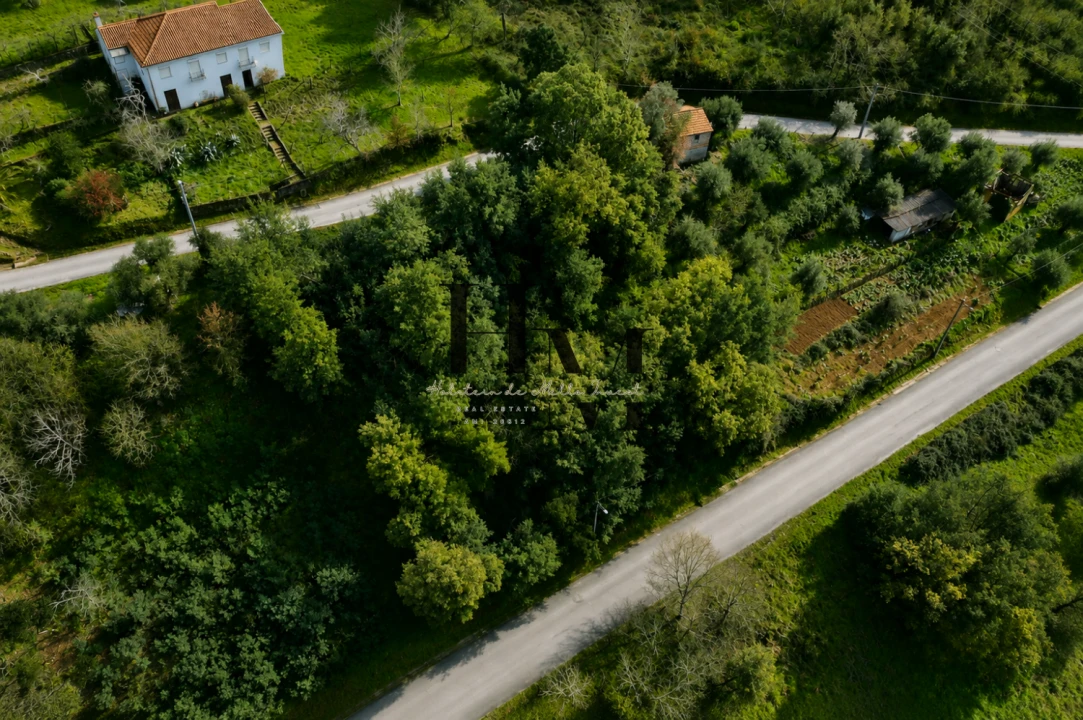 Terreno para Venda em Arganil Foto 7