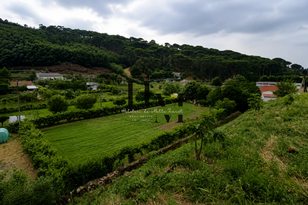 Terreno para Venda em Arganil Foto 6