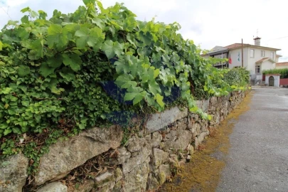 Terreno para Venda em Souto Santa Maria, Souto São Salvador e Gondomar