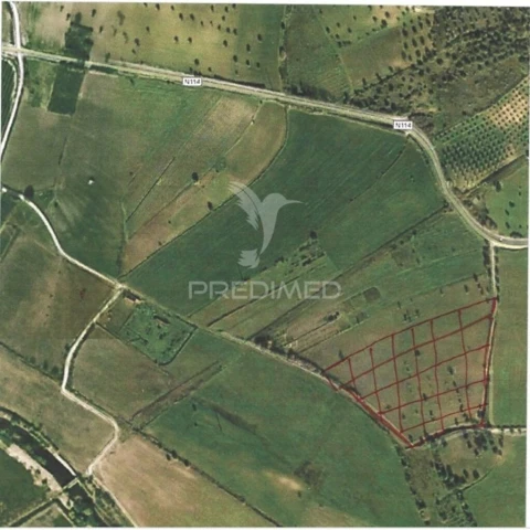 Terreno para Venda em Moçarria