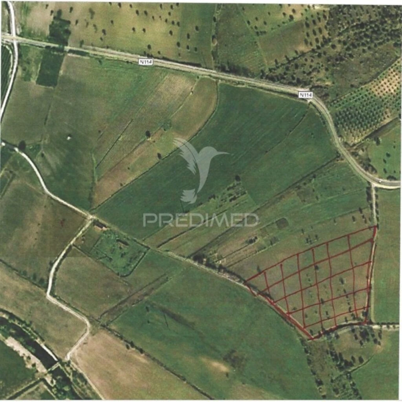 Terreno para Venda em Moçarria Foto 4