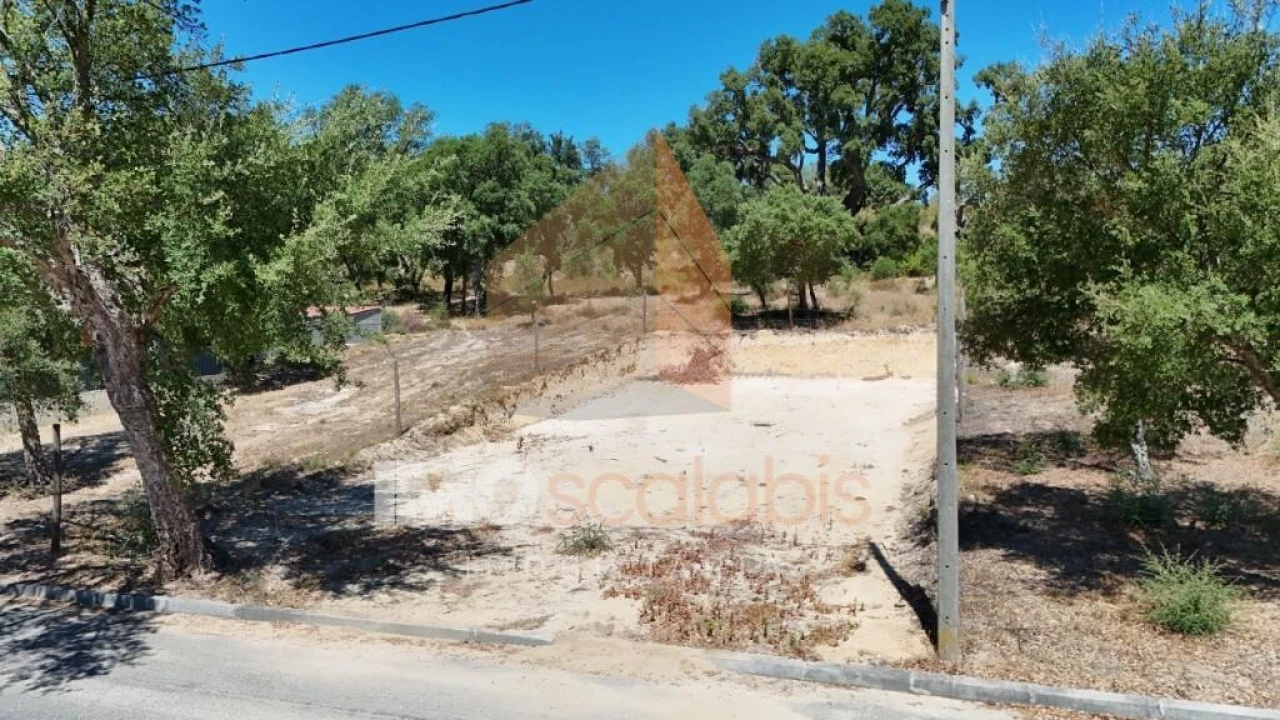 Terreno para Venda em Carregueira Foto 8