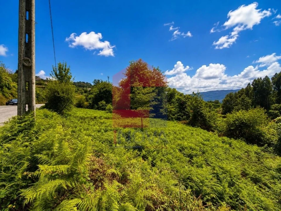 Terreno para Venda em Aboim da Nóbrega e Gondomar Foto 3