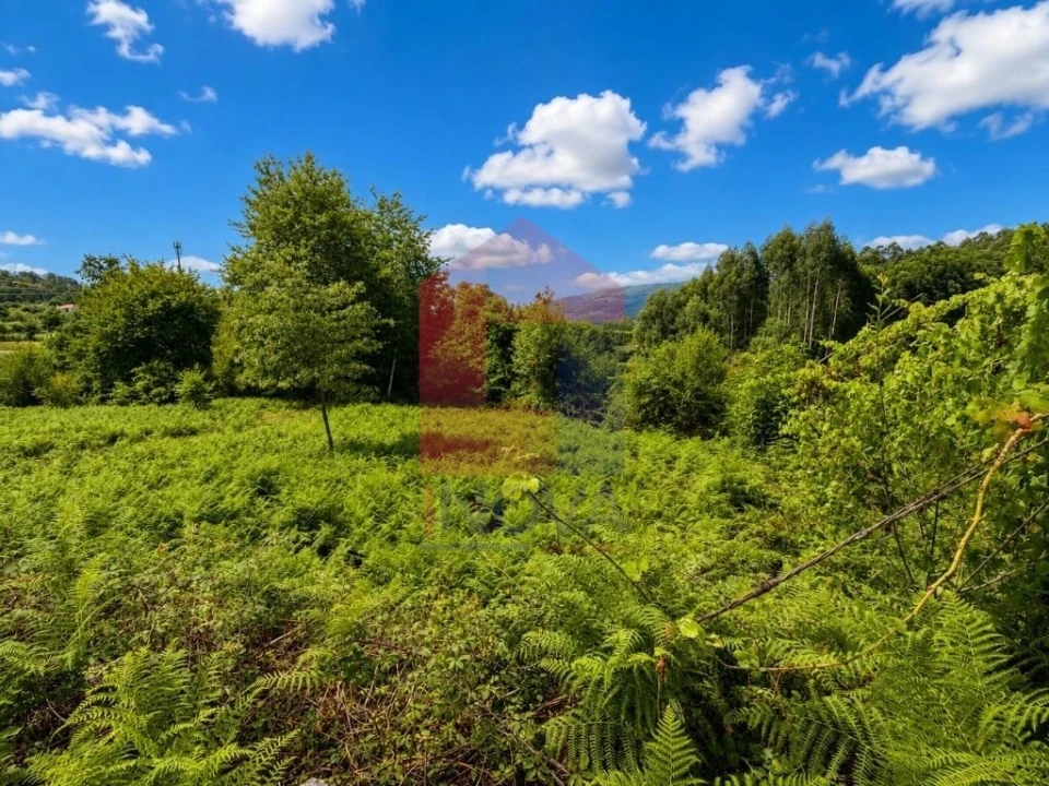 Terreno para Venda em Aboim da Nóbrega e Gondomar Foto 4