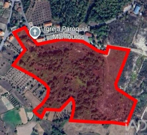 Moradia para Venda em Mamouros, Alva e Ribolhos