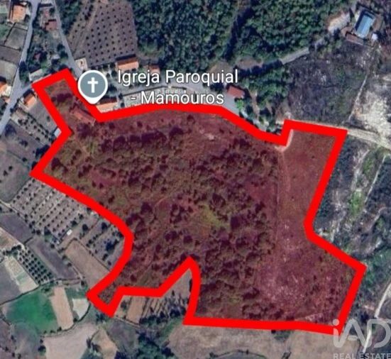 Moradia para Venda em Mamouros, Alva e Ribolhos Foto 2