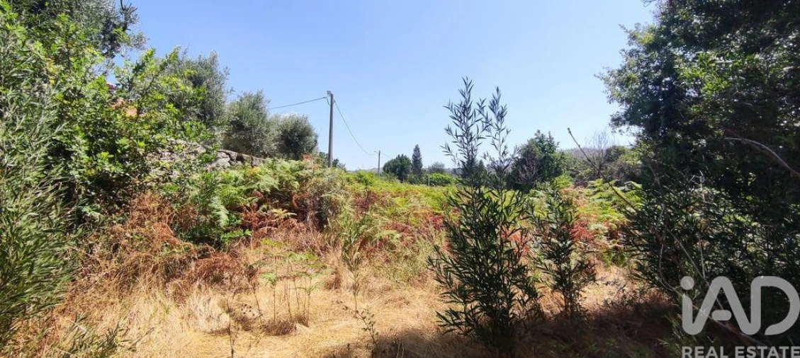Moradia para Venda em Mamouros, Alva e Ribolhos Foto 15