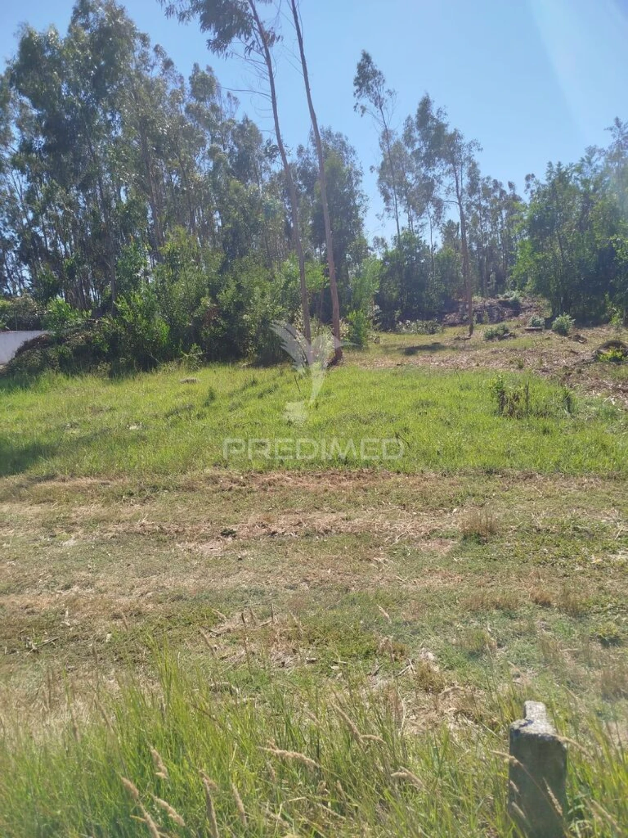 Terreno para Venda em Ovar, São João, Arada e São Vicente de Pereira Jusã Foto 3
