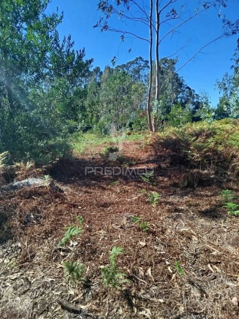 Terreno para Venda em Ovar, São João, Arada e São Vicente de Pereira Jusã