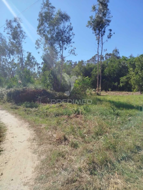 Terreno para Venda em Ovar, São João, Arada e São Vicente de Pereira Jusã