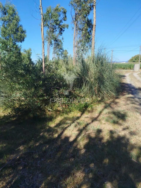 Terreno para Venda em Ovar, São João, Arada e São Vicente de Pereira Jusã