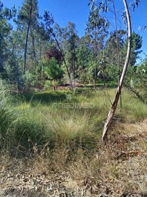 Terreno para Venda em Ovar, São João, Arada e São Vicente de Pereira Jusã