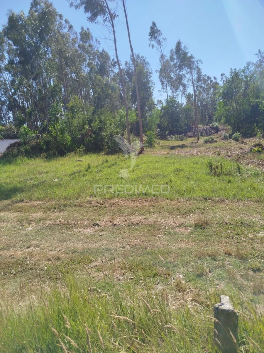 Terreno para Venda em Ovar, São João, Arada e São Vicente de Pereira Jusã Foto 3