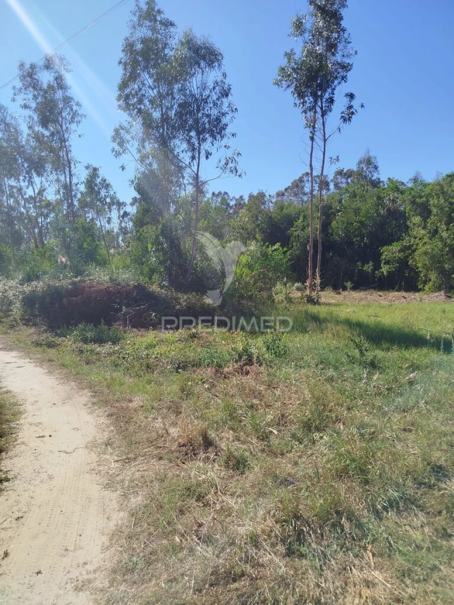 Terreno para Venda em Ovar, São João, Arada e São Vicente de Pereira Jusã Foto 4