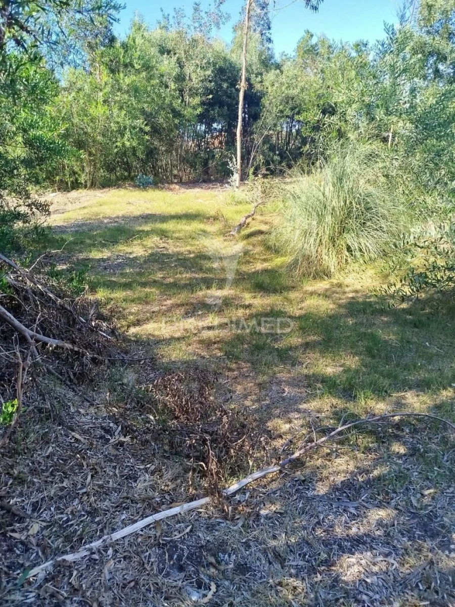Terreno para Venda em Ovar, São João, Arada e São Vicente de Pereira Jusã Foto 5
