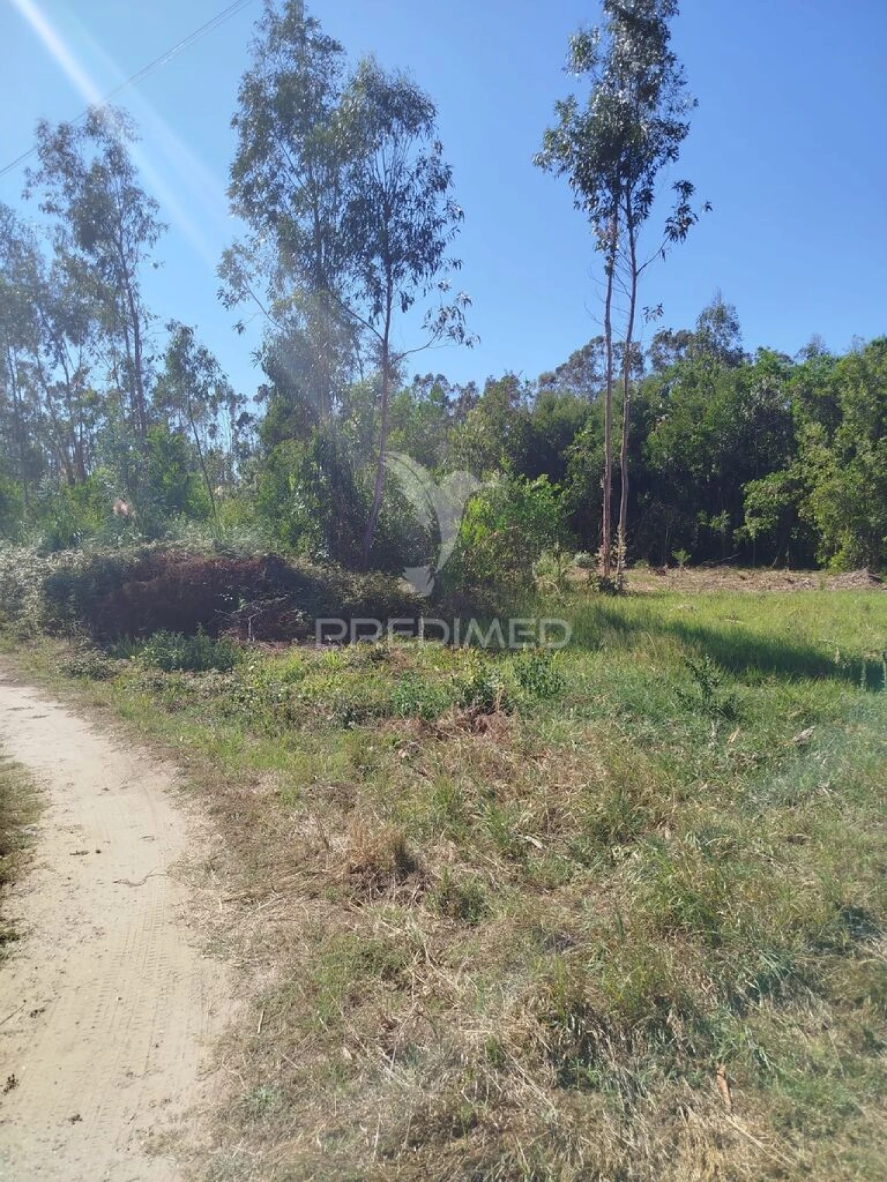 Terreno para Venda em Ovar, São João, Arada e São Vicente de Pereira Jusã Foto 4