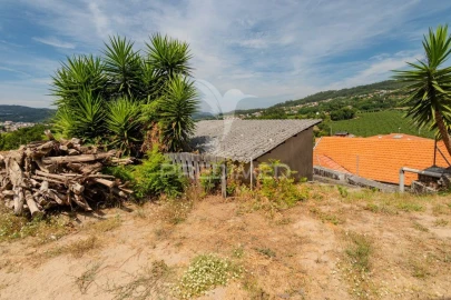 Quinta T3 para Venda em Pombeiro de Ribavizela