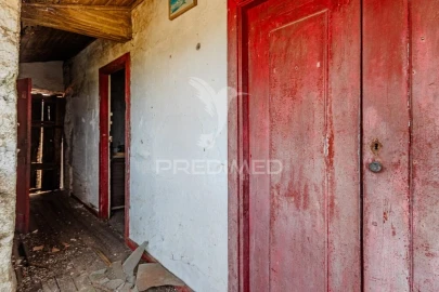 Quinta T3 para Venda em Pombeiro de Ribavizela