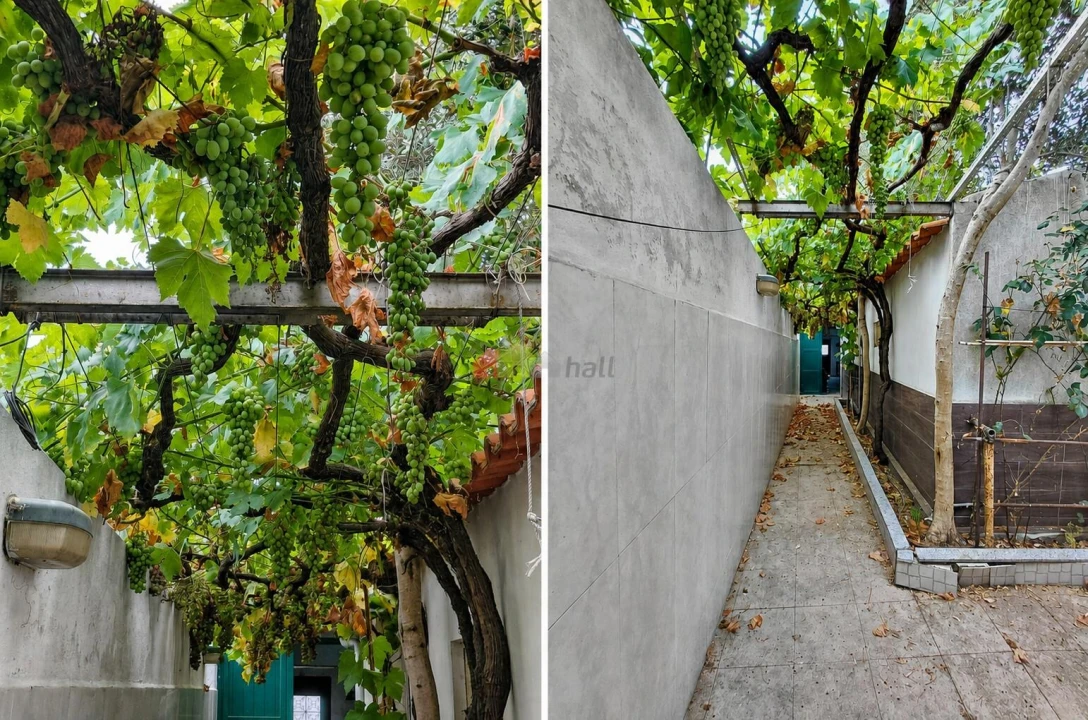 Moradia T2 para Venda em Baleizão Foto 17