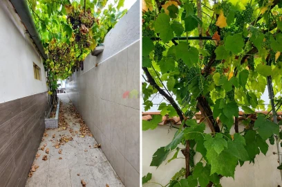 Moradia T2 para Venda em Baleizão