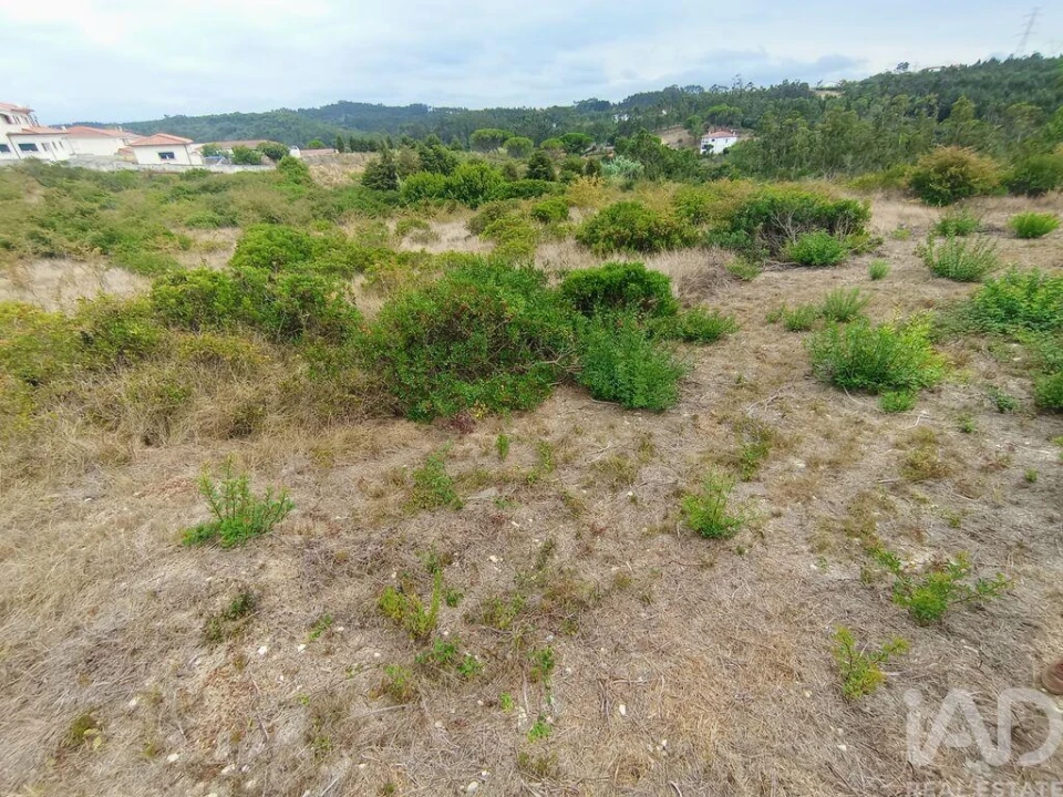 Terreno para Venda em Santo Antonio dos Olivais Foto 10