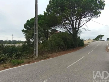 Terreno para Venda em Santo Antonio dos Olivais