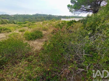 Terreno para Venda em Santo Antonio dos Olivais