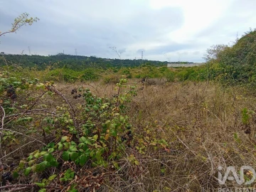 Terreno para Venda em Santo Antonio dos Olivais