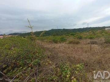 Terreno para Venda em Santo Antonio dos Olivais