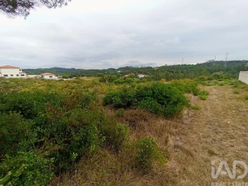 Terreno para Venda em Santo Antonio dos Olivais