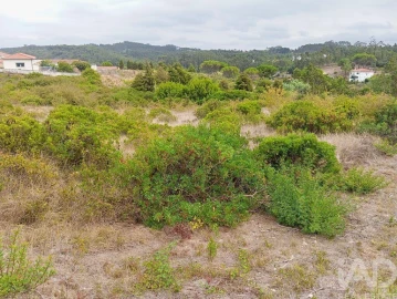 Terreno para Venda em Santo Antonio dos Olivais
