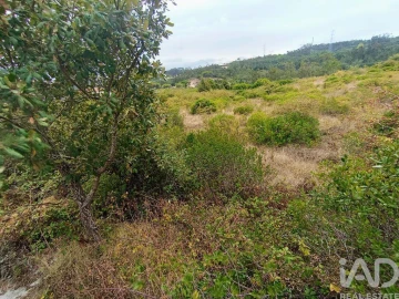 Terreno para Venda em Santo Antonio dos Olivais