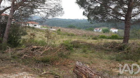 Terreno para Venda em Santo Antonio dos Olivais