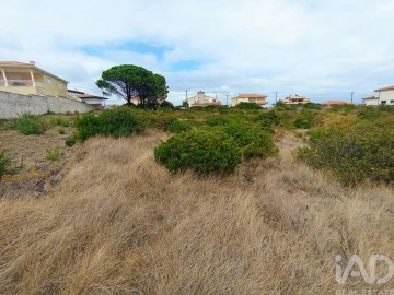 Terreno para Venda em Santo Antonio dos Olivais
