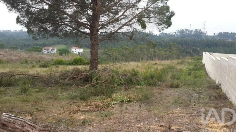 Terreno para Venda em Santo Antonio dos Olivais