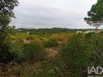 Terreno para Venda em Santo Antonio dos Olivais