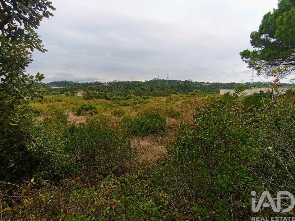 Terreno para Venda em Santo Antonio dos Olivais Foto 15