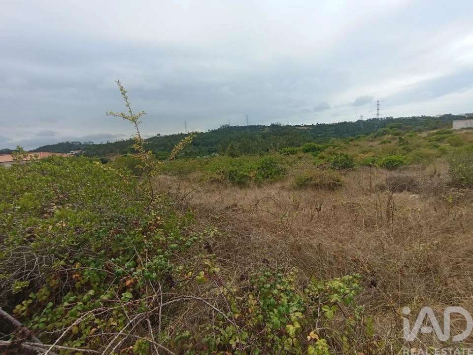 Terreno para Venda em Santo Antonio dos Olivais Foto 22