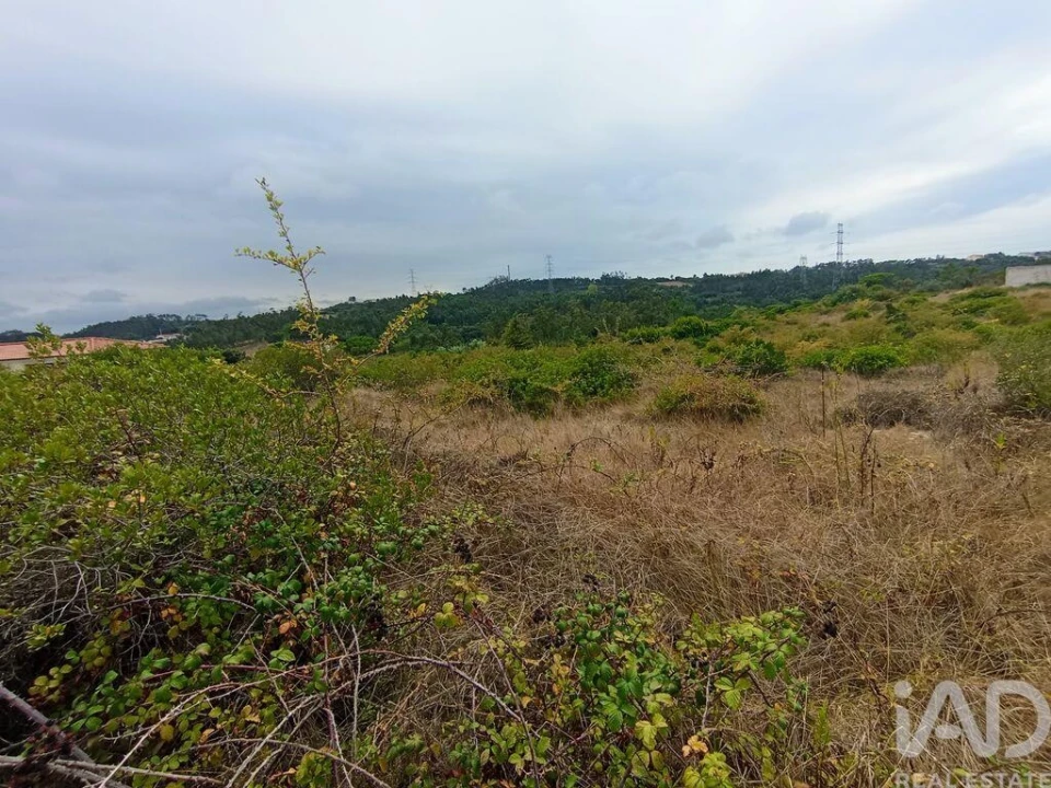 Terreno para Venda em Santo Antonio dos Olivais Foto 23