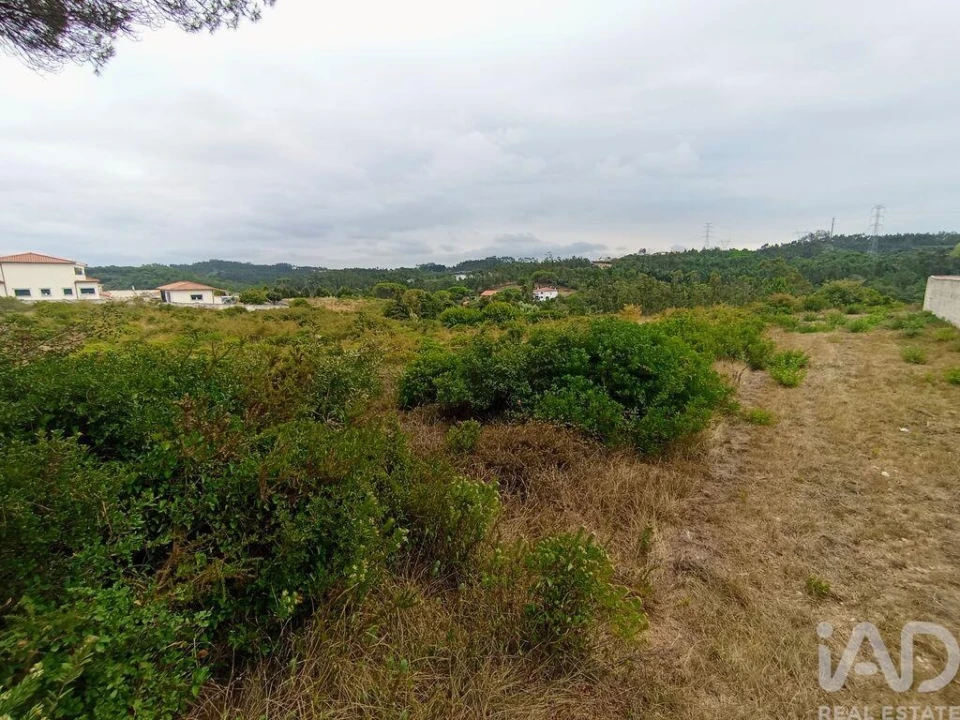 Terreno para Venda em Santo Antonio dos Olivais Foto 8