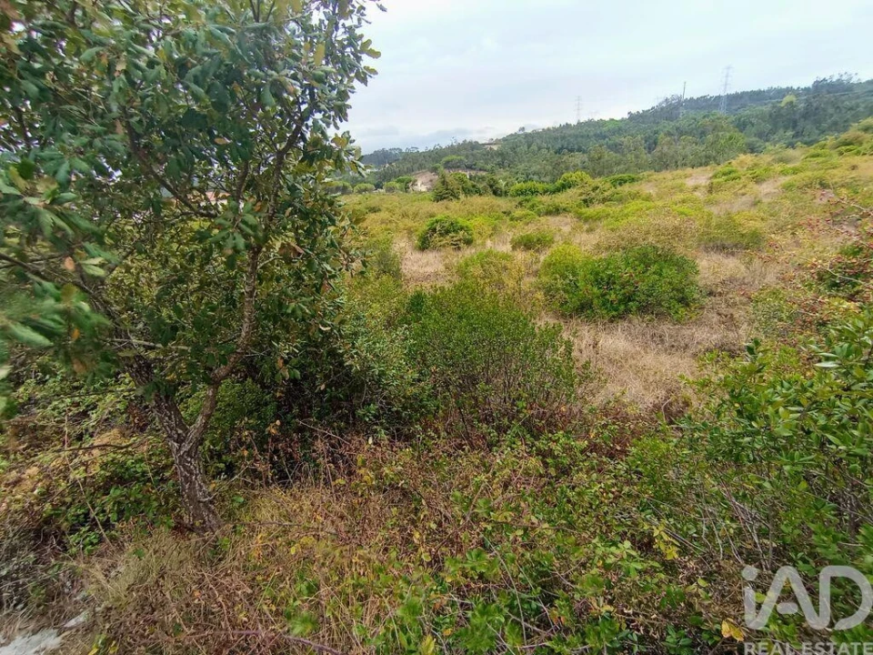 Terreno para Venda em Santo Antonio dos Olivais Foto 18