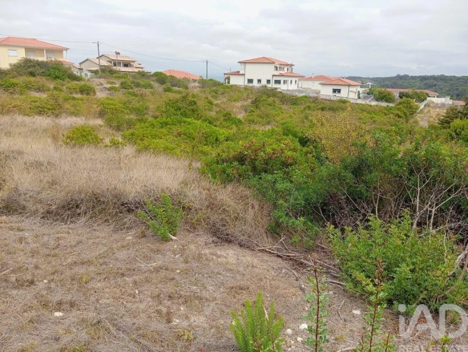 Terreno para Venda em Santo Antonio dos Olivais Foto 12