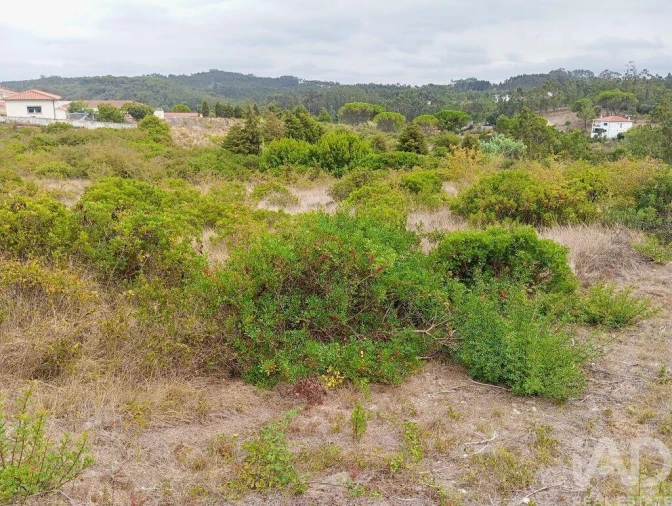 Terreno para Venda em Santo Antonio dos Olivais Foto 11