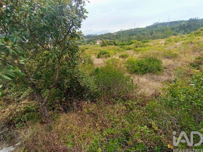 Terreno para Venda em Santo Antonio dos Olivais Foto 18