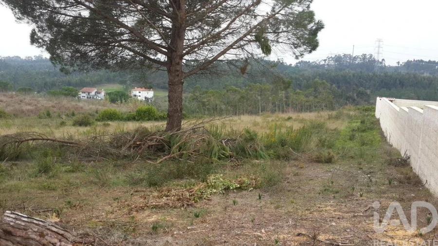 Terreno para Venda em Santo Antonio dos Olivais Foto 5