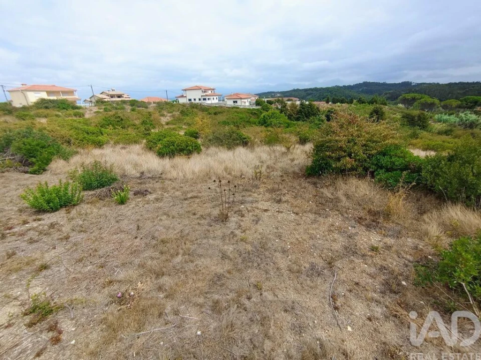 Terreno para Venda em Santo Antonio dos Olivais Foto 4