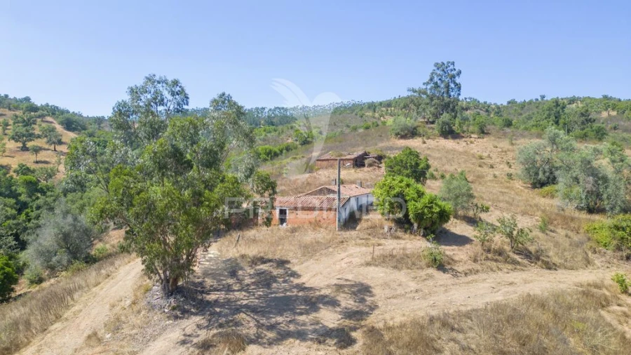 Quinta T3 para Venda em São Salvador e Santa Maria Foto 3