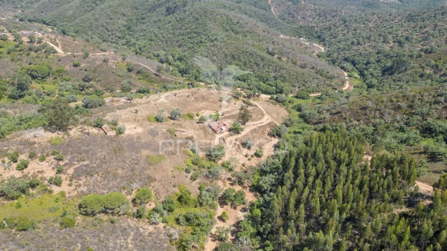 Quinta T3 para Venda em São Salvador e Santa Maria Foto 6